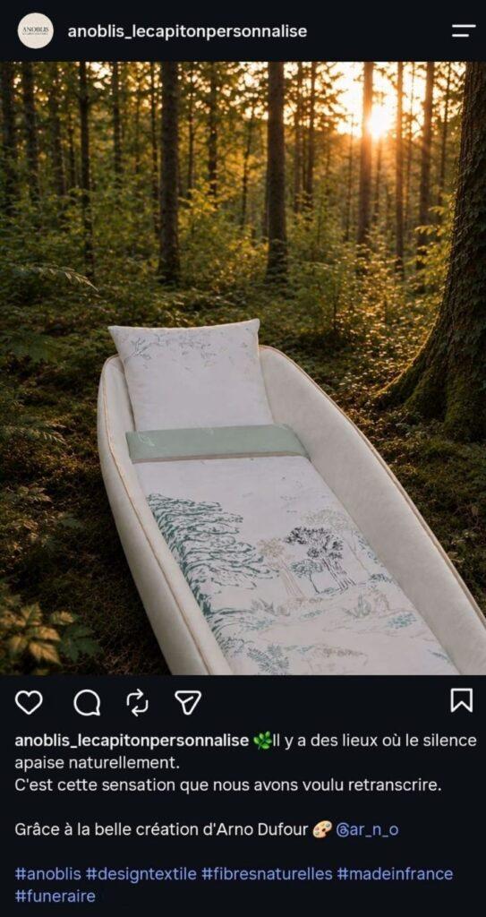Photo Instagram Anoblis Capiton La Forêt au milieu d'une forêt