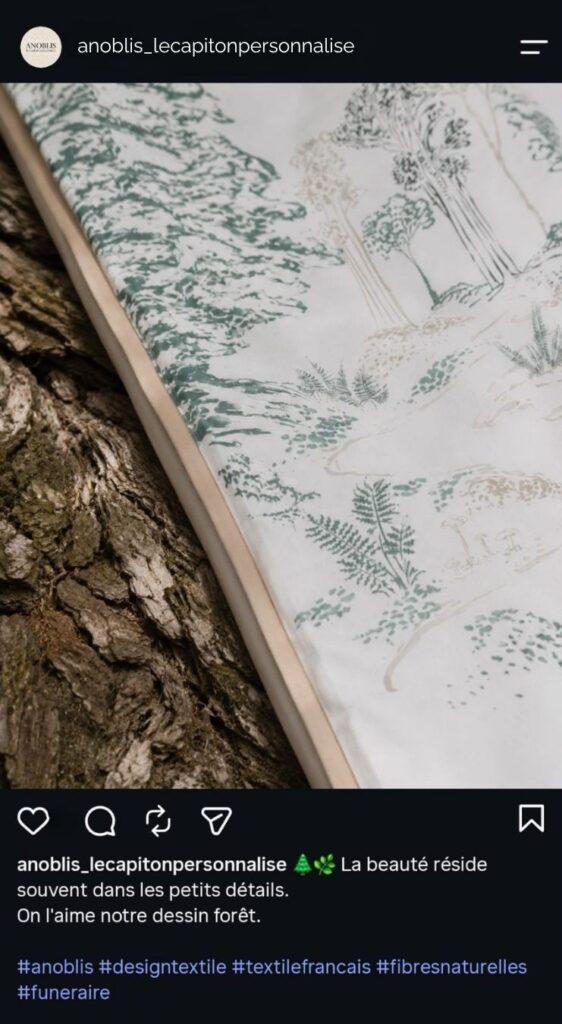 Photo Instagram Anoblis couverture La Forêt sur écorce d'arbre